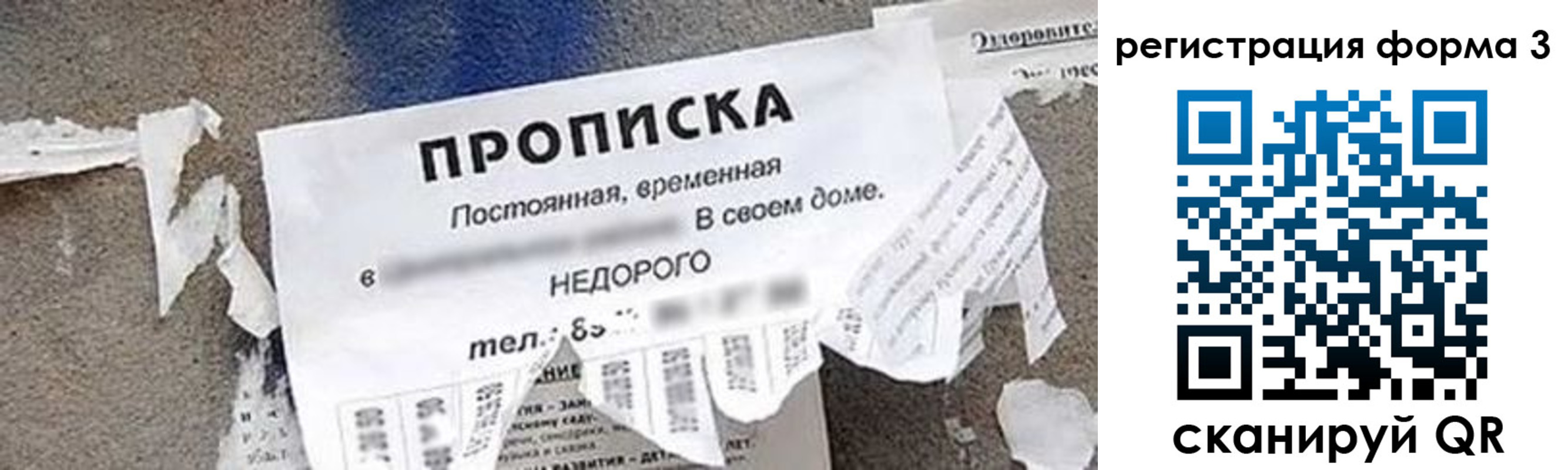 прописка 2025 в Дубовке
